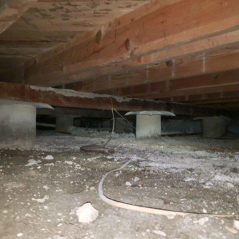 Before Crawl Space Remediation