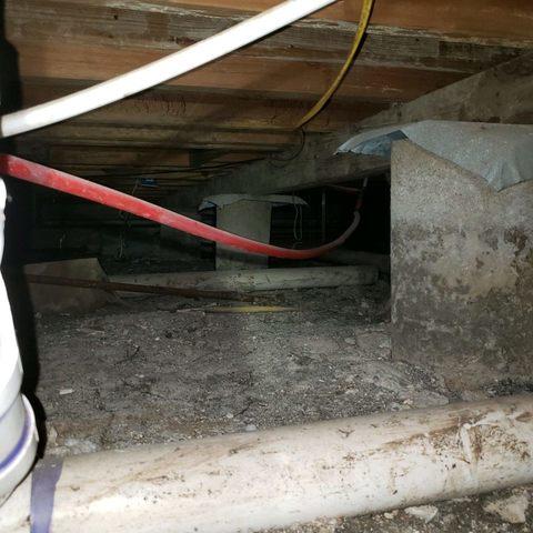 Before Crawl Space Remediation