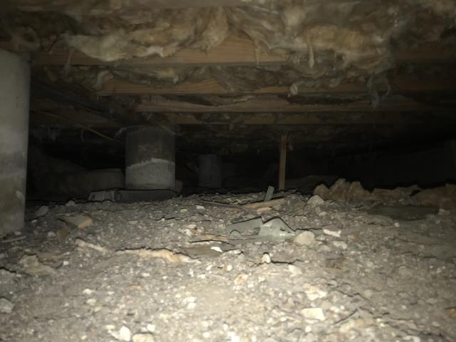 Before Crawl Space Remediation