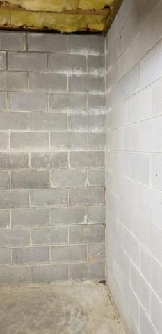 Efflorescence Affecting the Basement Wall