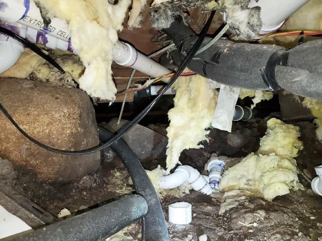 Critters Destroyed Crawlspace Insulation in Pengilly, MN