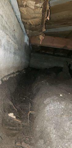 Before Crawl Space Remediation