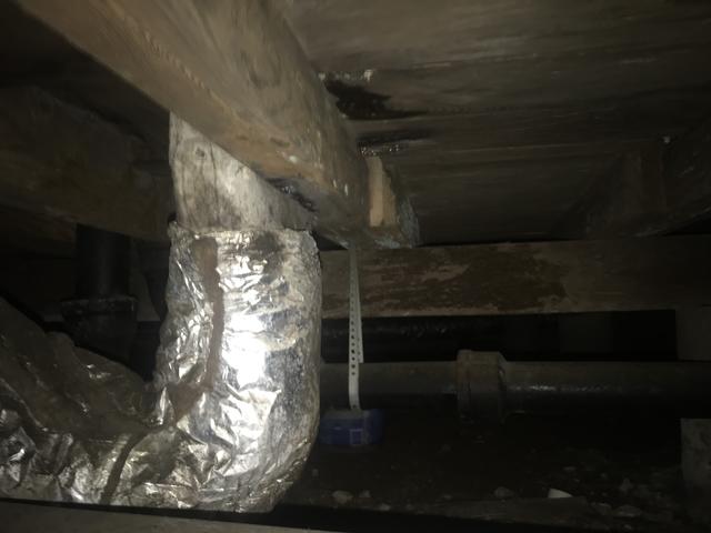 Before Crawl Space Remediation