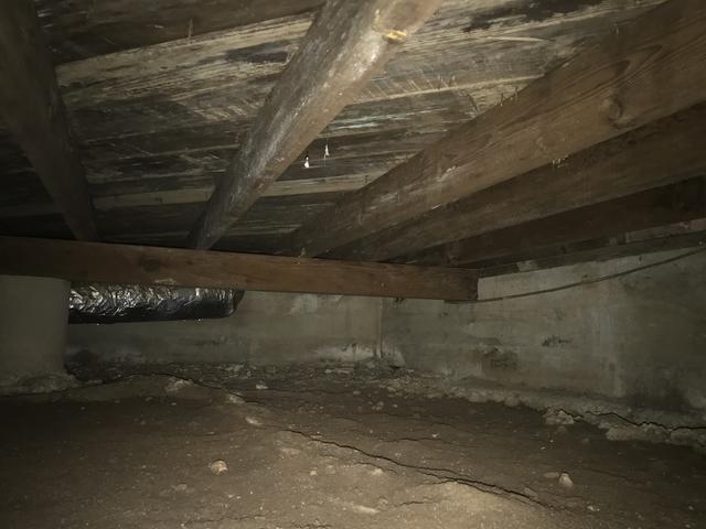 Before Crawl Space Remediation