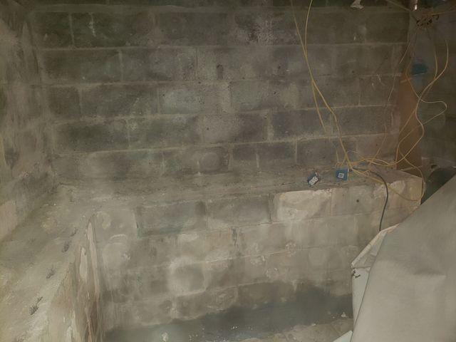 Breeding Ground For Bugs and Mold