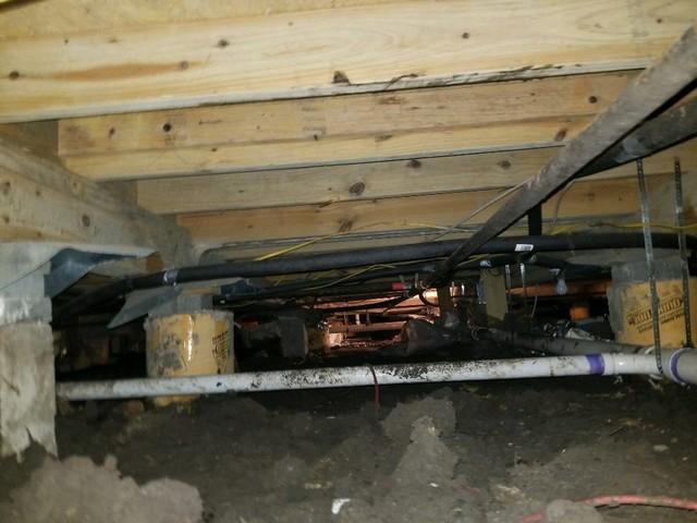 Before Crawl Space Remediation