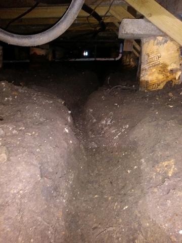Before Crawl Space Remediation