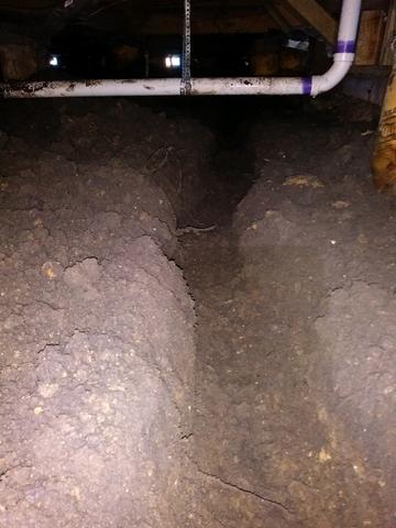 Before Crawl Space Remediation