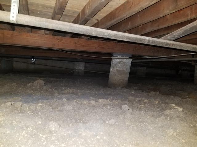 Before Crawl Space Repair