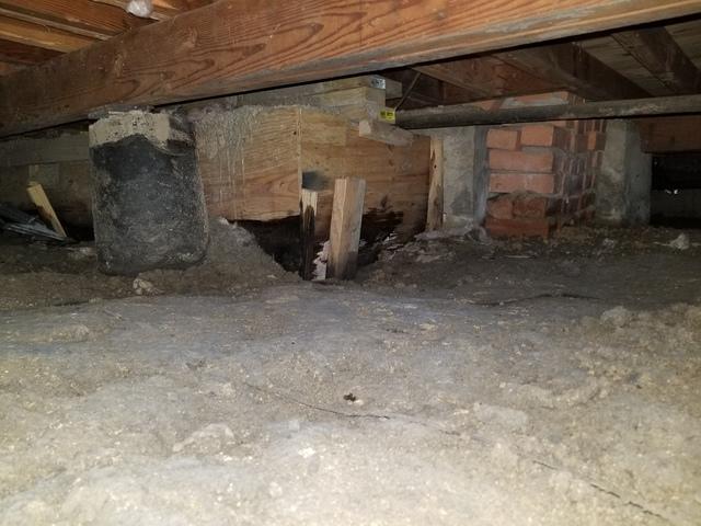 Before Crawl Space Repair