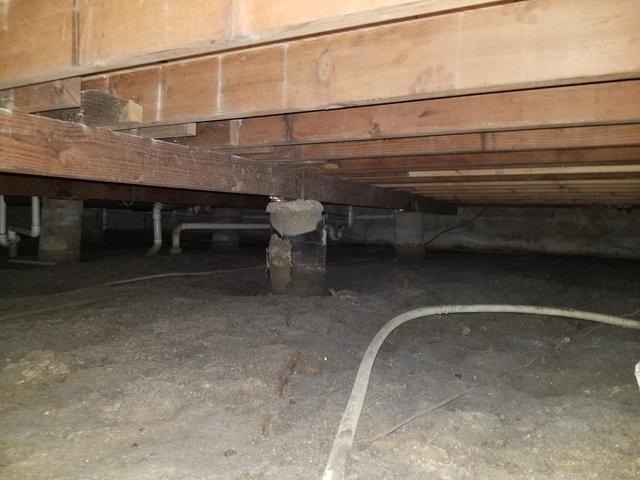 Before Crawl Space Repair