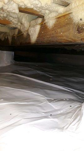 After Crawl Space Repair