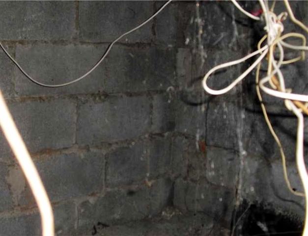 Basement Water Seepage
