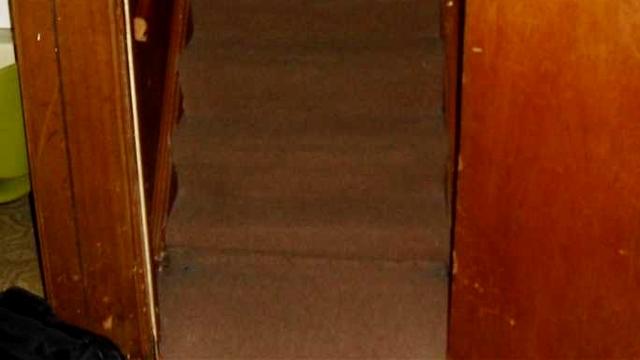 Mold Symptoms