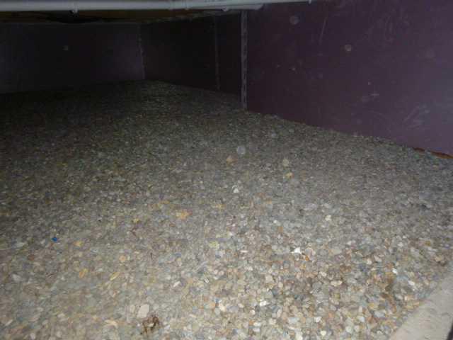 Before Encapsulation