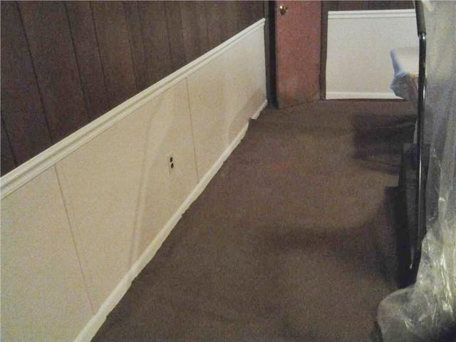 Mold in Basement