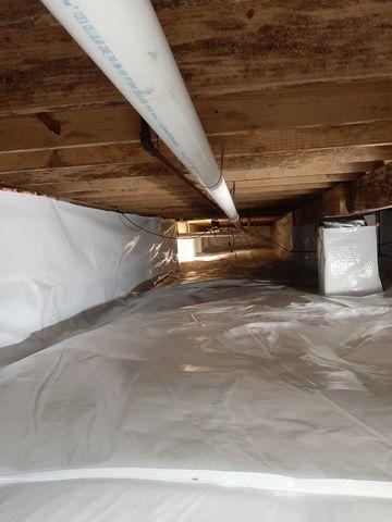 CleanSpace Liner