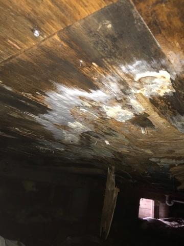 Moldy Crawl Space in Canyon, MN