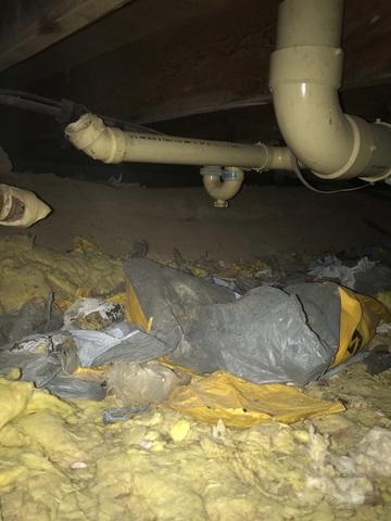 Failed Insulation in Canyon, MN Cabin