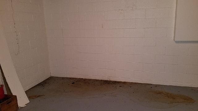 Damp and Wet Basement