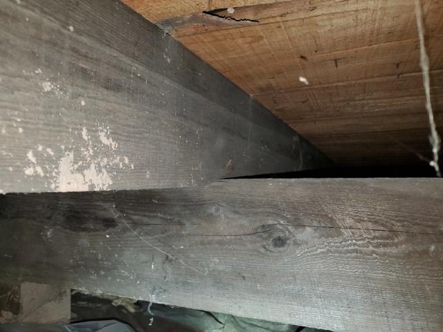 Joists and Beams Overlap