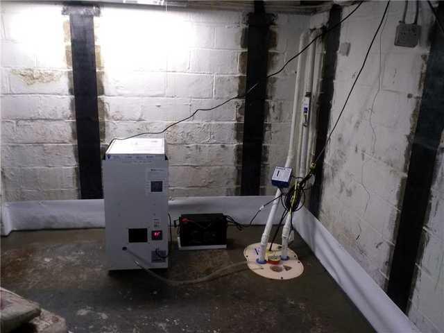 TripleSafe Sump Pump and SaniDry With Carbon Armor