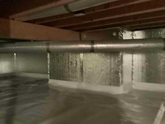 SilverGlo with CleanSpace Encapsulation