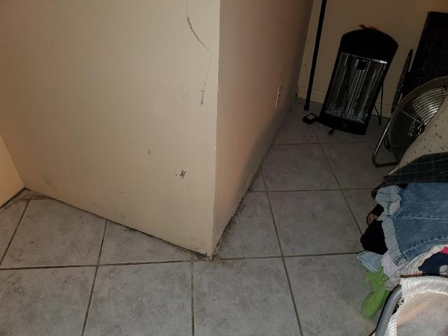 Water Damaged Walls