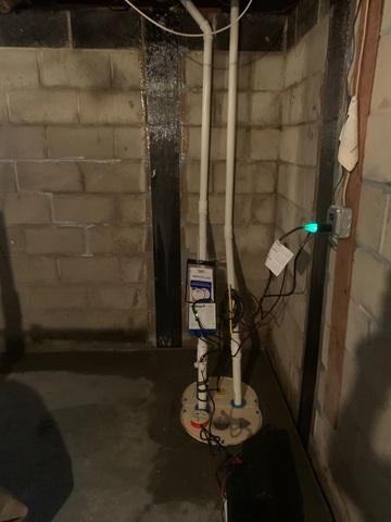 CarbonArmor and TripleSafe Sump Pump