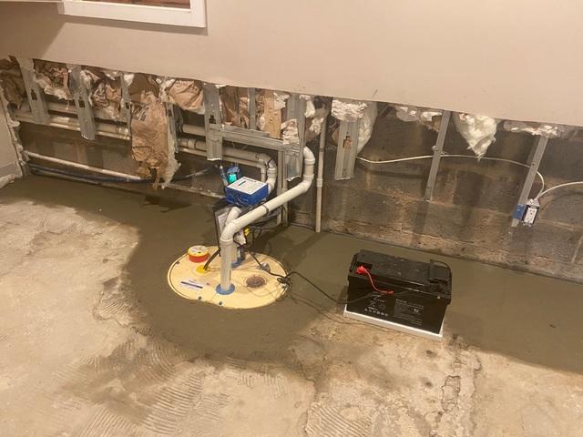 TripleSafe Sump Pump and WaterGuard