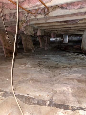 The insulation had fallen from being saturated with moisture. The wood was uninsulated and exposed to humid air.