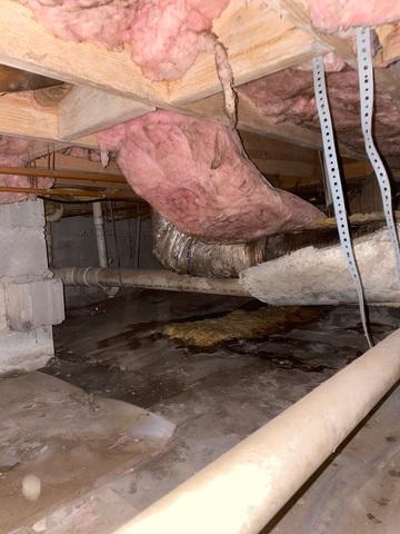 This area of the crawlspace had small puddles of standing water