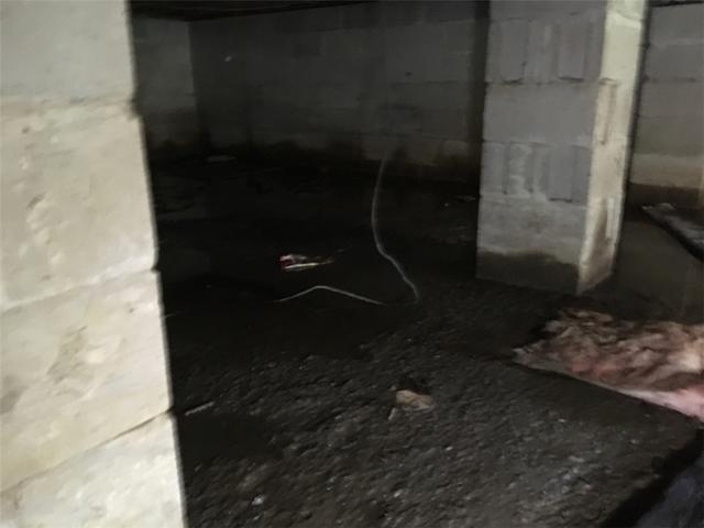 Nasty Crawl Space Before