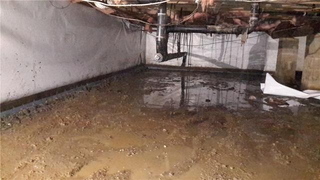 Wet and Unhealthy Crawl Space