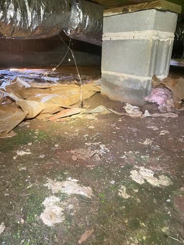 Other areas of the crawlspace were completely uncovered and open to ground moisture.