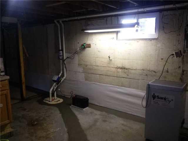 TripleSafe SumpPump System With SaniDry Dehumidifier