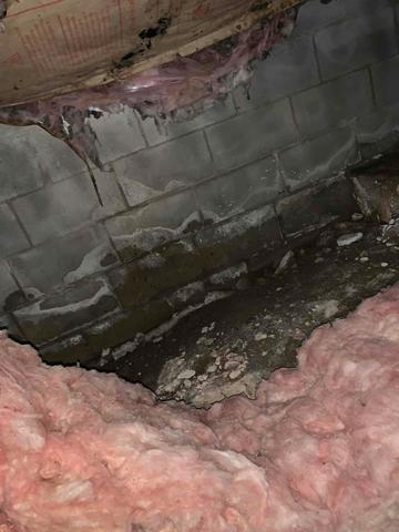 Moisture Damage