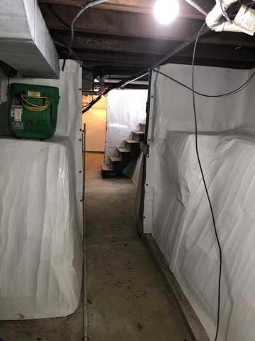 EmeShield and CleanSpace