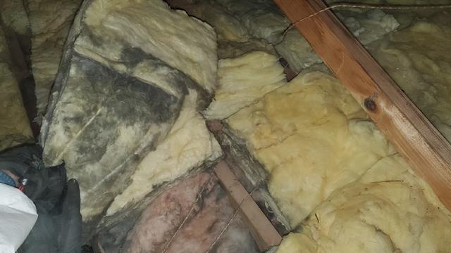 Existing Fiberglass Batting Insulation in Duluth, MN