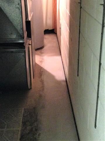 Water Seeping into Basement in Erie, MI