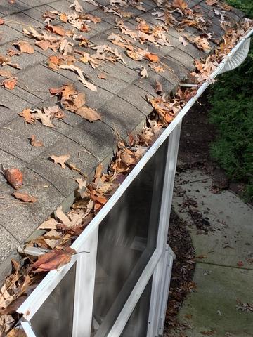 Leaves Fill Traditional Gutters