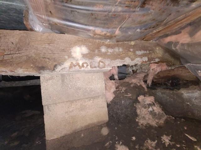 Issues with Mold and Wetness in Saint Paul, MN Crawl Space