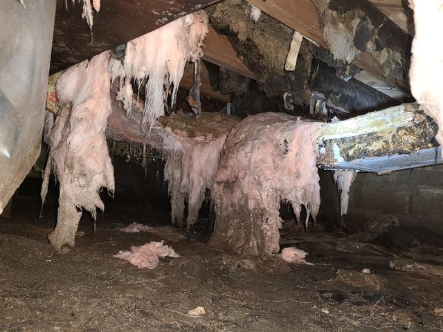 Fallen Material in Saint Paul, MN
