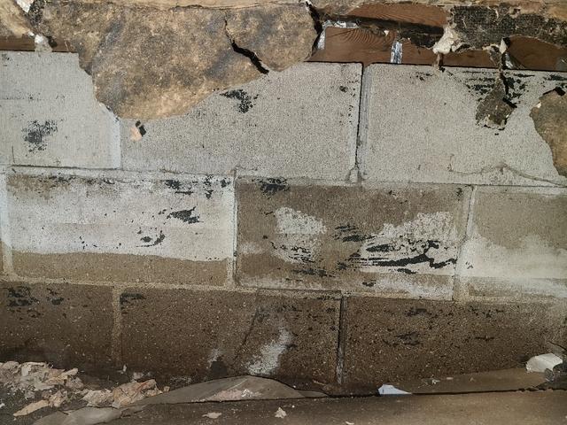 Visible Cracks and Moisture in Saint Paul Foundation