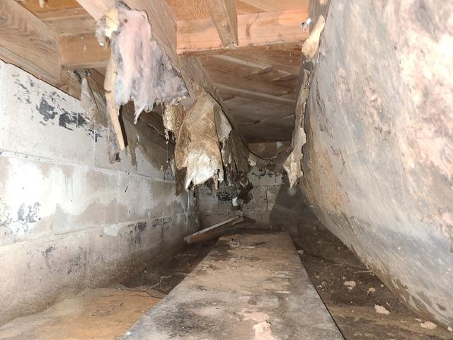 Dirt Prone to Moisture