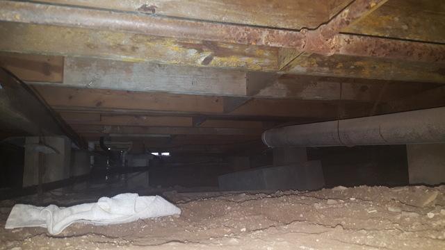 Before Crawl Space Remediation