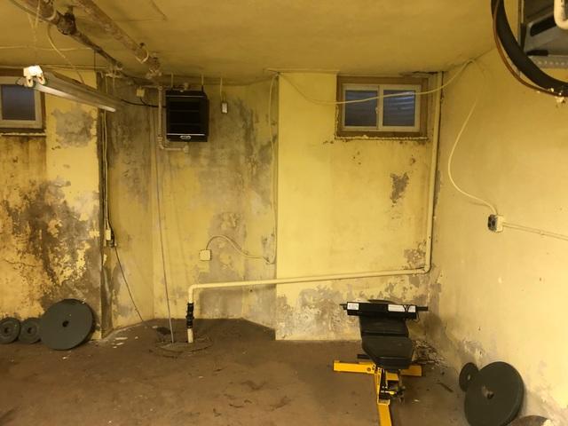 Damp Basement Before