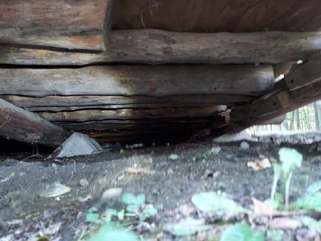 Exposed Earth Beneath Cabin in Eveleth, MN