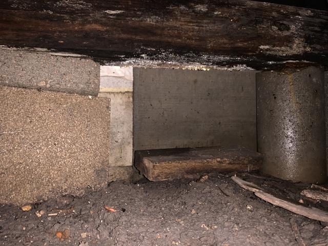 Before Crawl Space Remediation