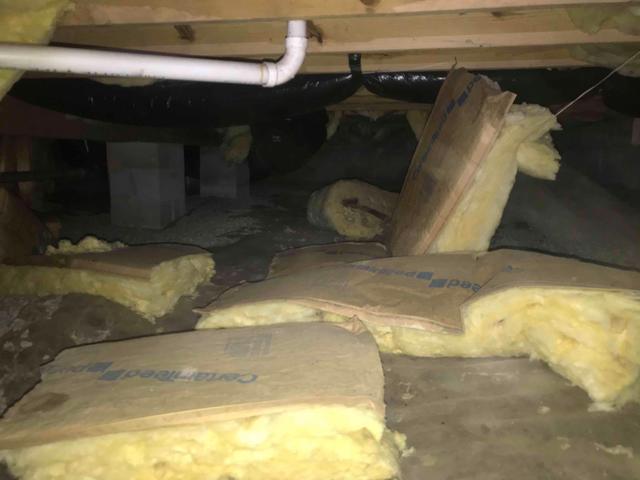 Fiberglass Insulation